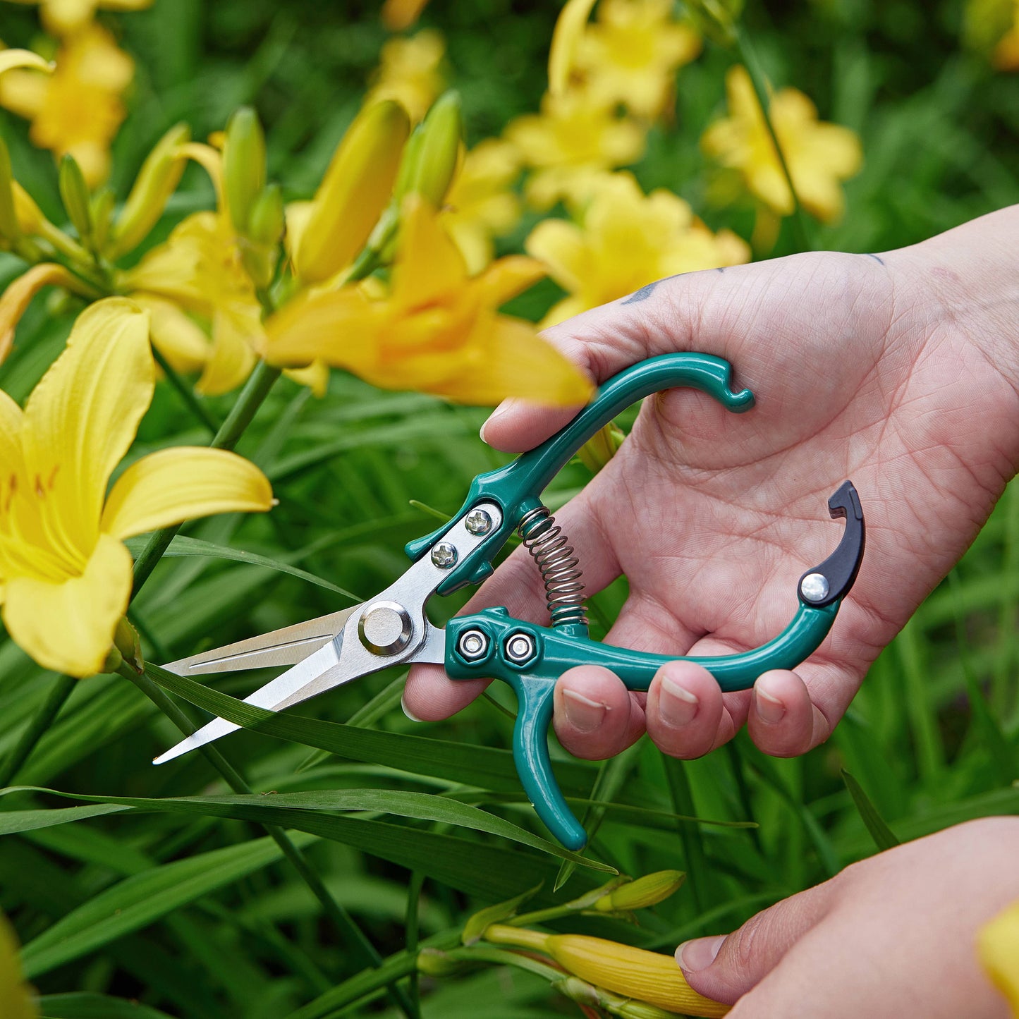 Modern Sprout - Garden Shears (Ocean)