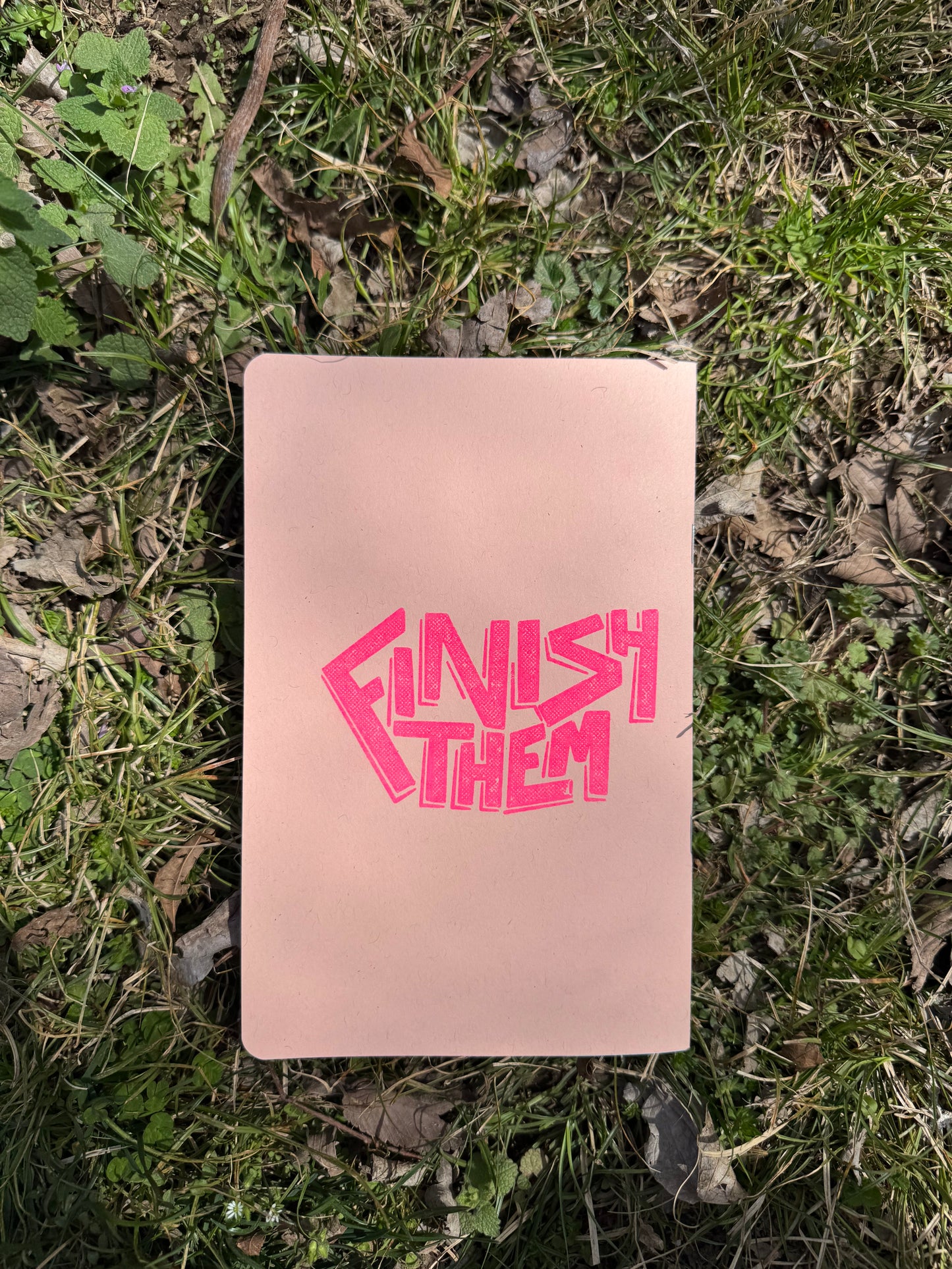 The Mook Press - Wrestling Moves That Do Not Even Exist Zine