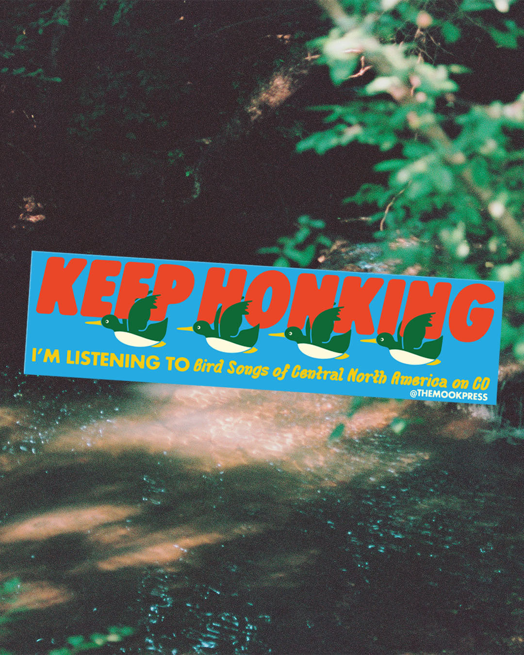 I'm Listening to Bird Songs Bumper Magnet by The Mook Press