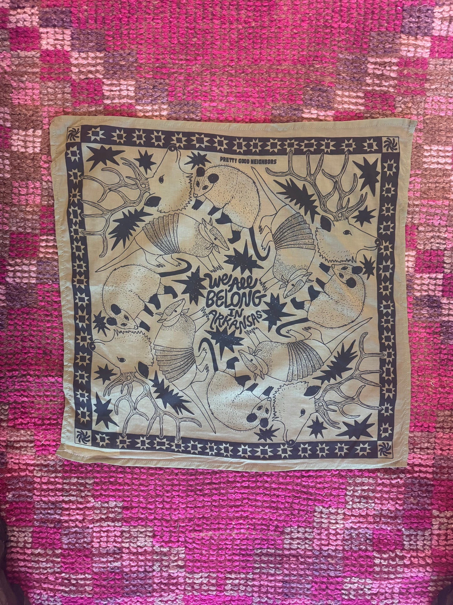 We All Belong in Arkansas Sage Bandana