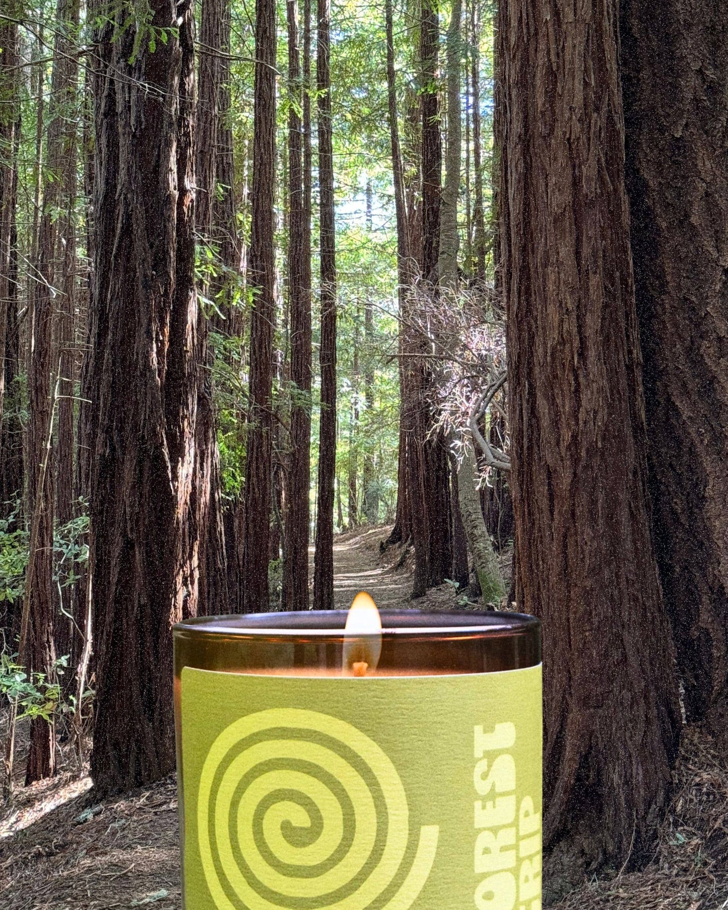 Sunthing Studio - Forest Trip Candle