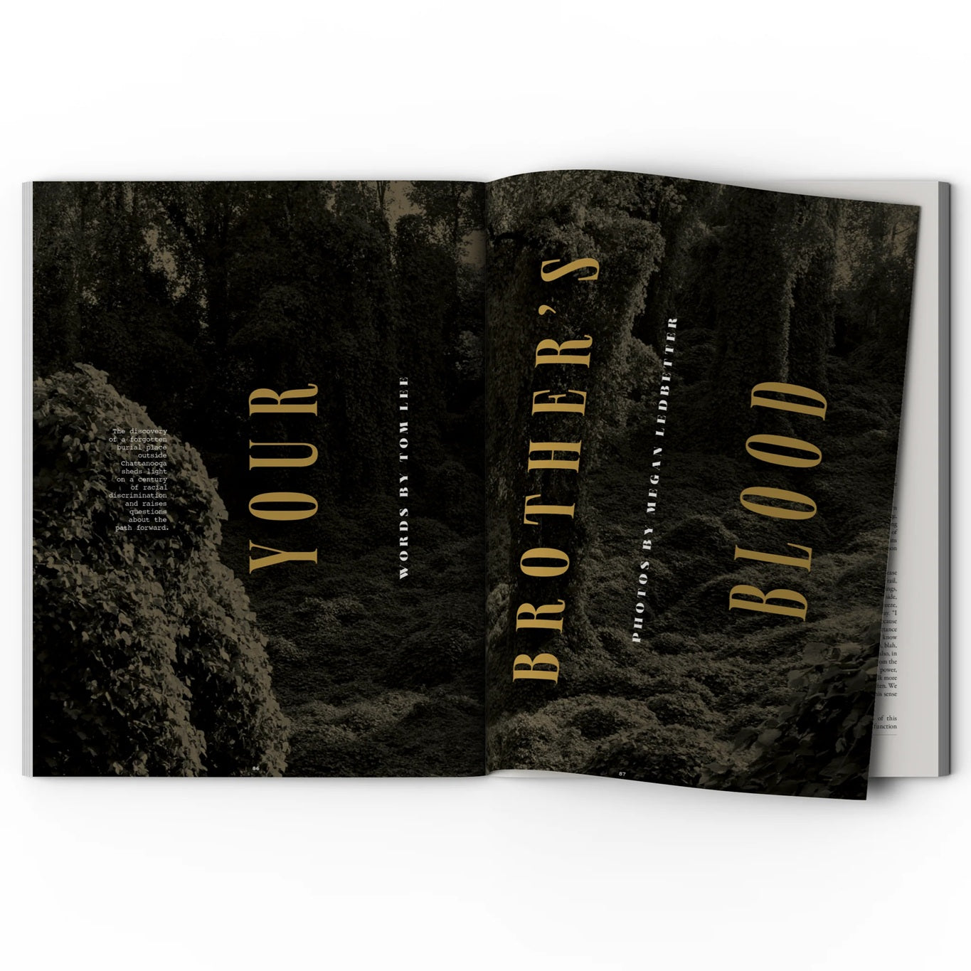 Bitter Southerner Magazine - Issue No. 10