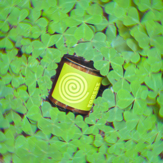 Sunthing Studio - Forest Trip Candle