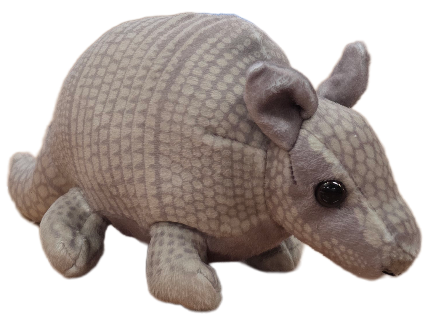 Canned Armadillo | Stuffed Animal Plush w/Funny Jokes on Can: Pop Top Lid